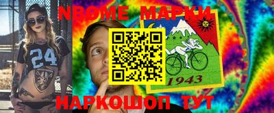 шишки Лесосибирск