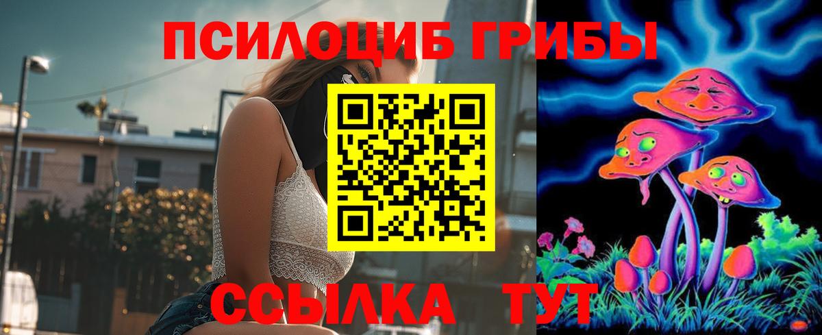 Галлюциногенные грибы Psilocybine cubensis Димитровград