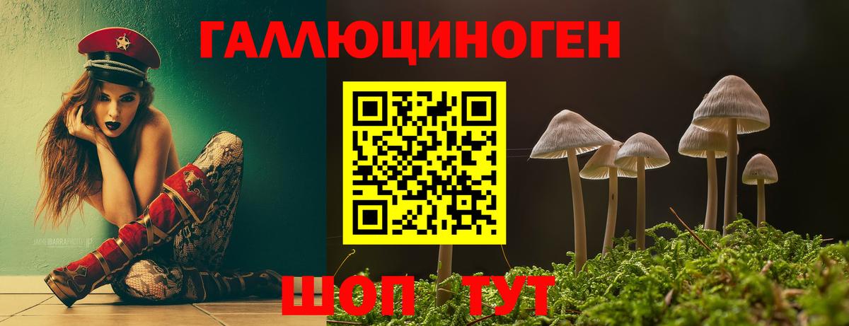 купить наркотик  Псилоцибиновые грибы мицелий  Вход с VPN  Димитровград 